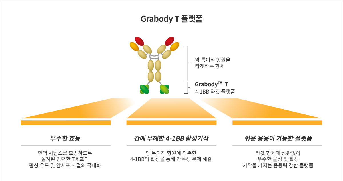Grabody-T 플랫폼. 암 특이 항원에 결합할 때만 4-1BB를 활성화하는 조건부 이중항체